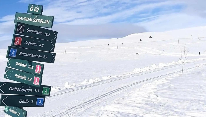 Prestholtseter -  Plassering - Geilo