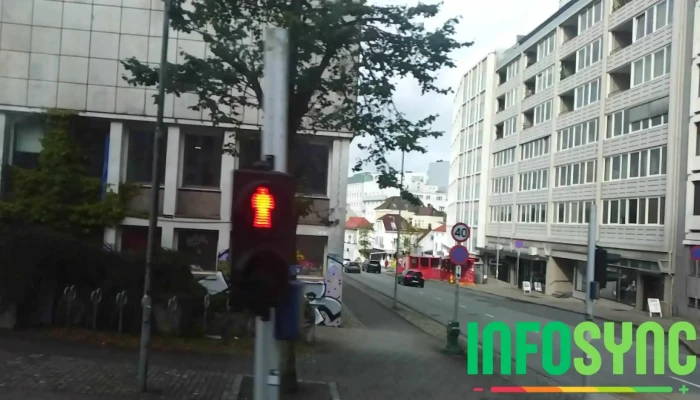 Proplan As Avd Bergen Videoer - Bergen