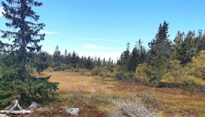 Rausteinshytta -  Anmeldelser - Skreia