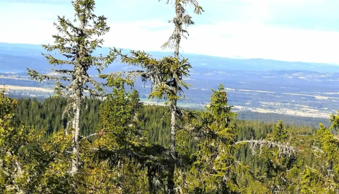 Rausteinshytta -  Hvor - Skreia