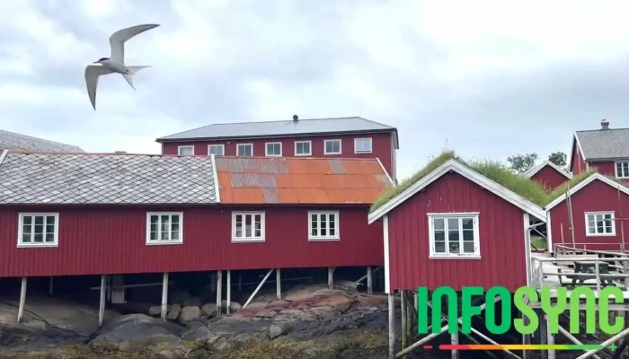 Reine Rorbuer -    By Classic Norway Hotels Eksterior - Reine