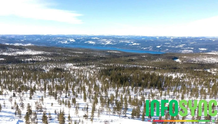 Rendalen -  Fjell - Rendalen
