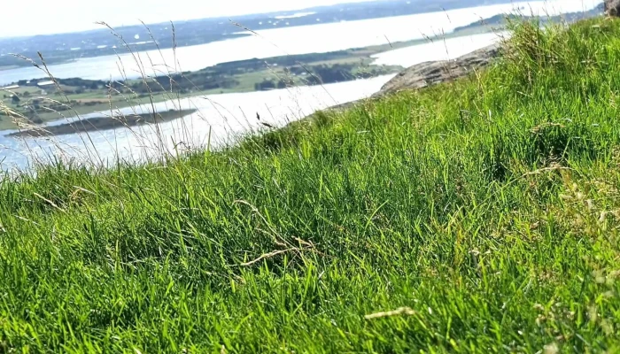 Rennesoyhodnet Kommentarer - Rennesøy