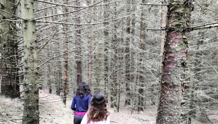 Rennesoyhodnet Videoer - Rennesøy