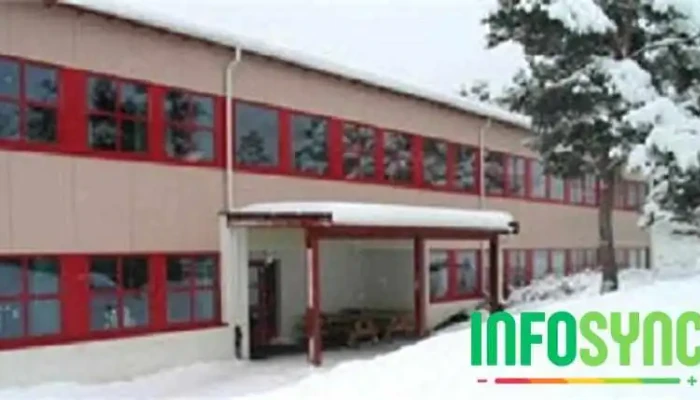 Rensvik Barneskole -  Alle - Frei