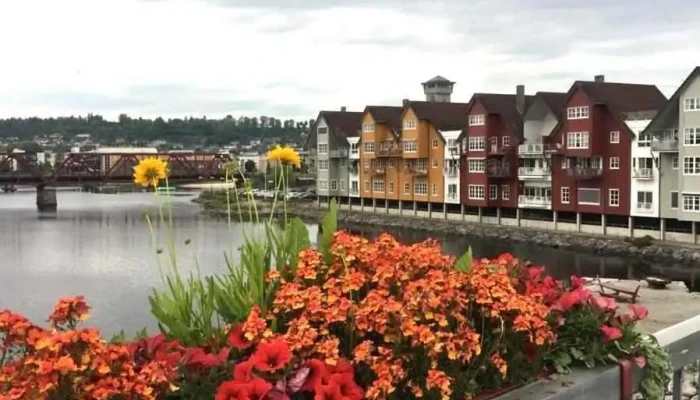 Revisjon Midt-Norge Sa - Steinkjer