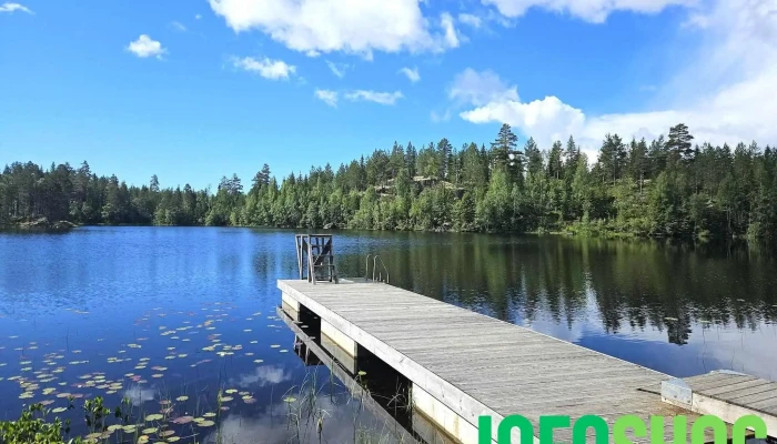 Ringerike Skytesenter -  Alle - Hønefoss