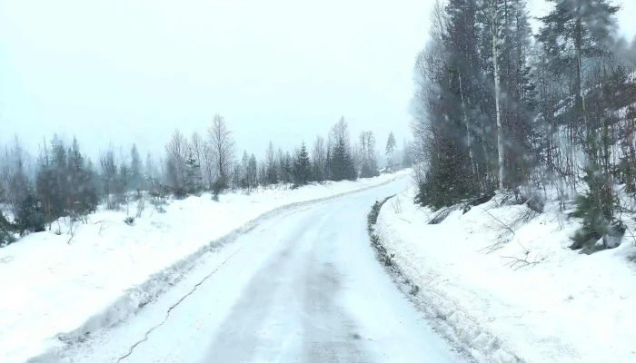 Ringnes Imsdal - Koppang