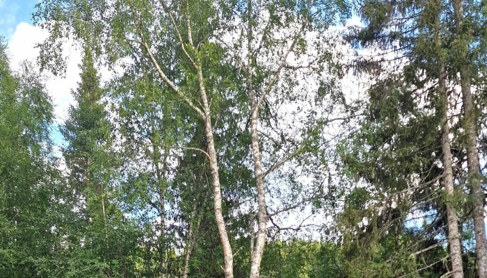 Rivernorth As Arrangør Av Utendørsaktiviteter - Trofors