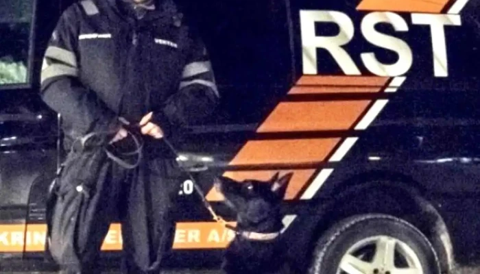 Romerike Sikringstjenester As -  Fra Eieren - Nannestad