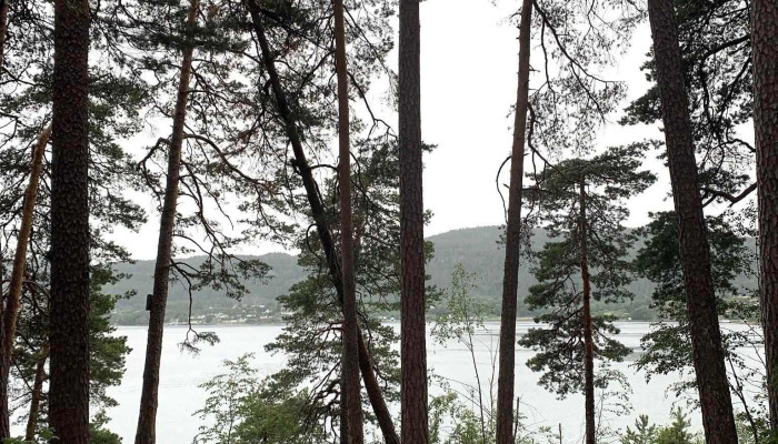 Sandebukta Kyststien - Sande I Vestfold