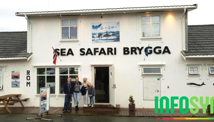 Sea Safari Andenes - Andenes