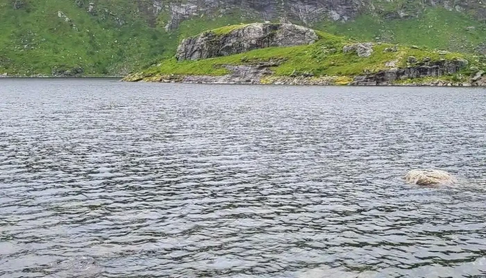 Selfjorden -  Alle - Fredvang