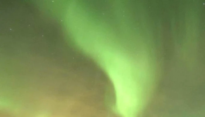 Senja Experience -  Katalog - Finnsnes