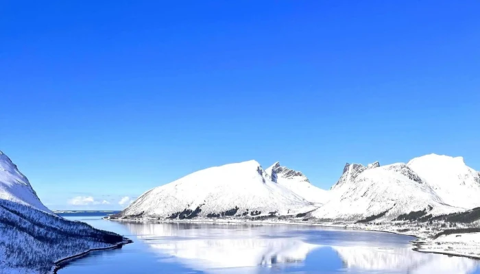 Senja Experience -  åpen Nå - Finnsnes