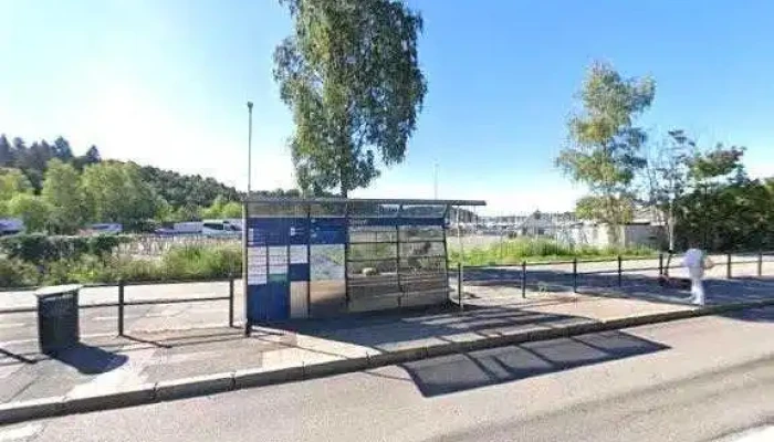 Sjolyst Alle - Oslo