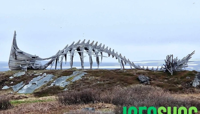 Skagodden Fyrlykt -  Drakkar Leviathan - Vardø