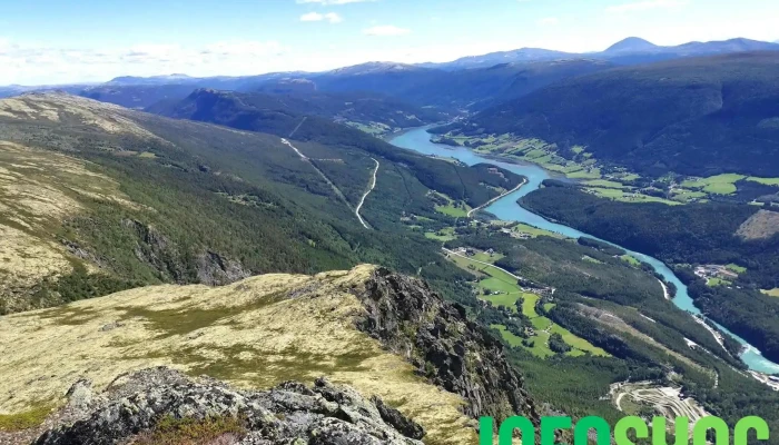 Skagsnebb - Norge