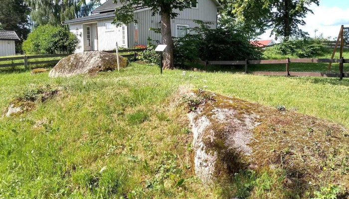 Skalgropsteinen Pa Navneberget Alle - Stange
