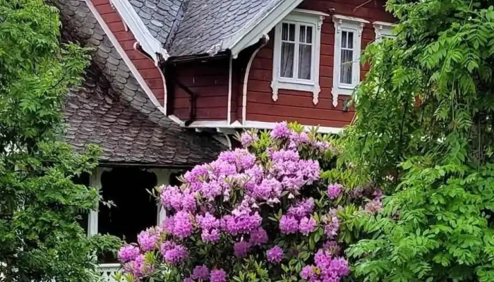 Skaparstova Balestrand -  Alle - Balestrand