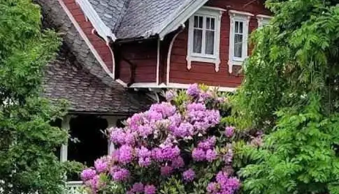 Skaparstova Balestrand - Balestrand