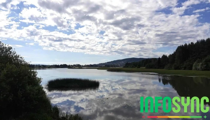 Skedsmo -  Alle - Lillestrøm