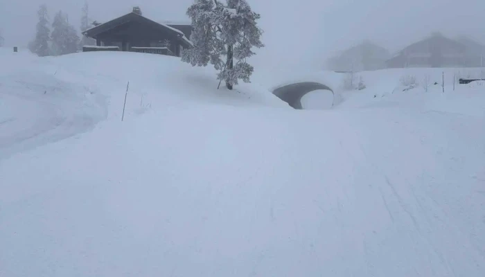 Skihytta Ekspress -  Fjell - Trysil