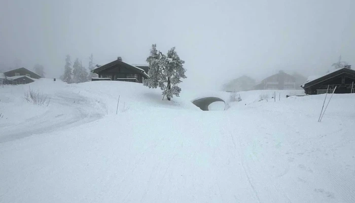 Skihytta Ekspress -  Katalog - Trysil