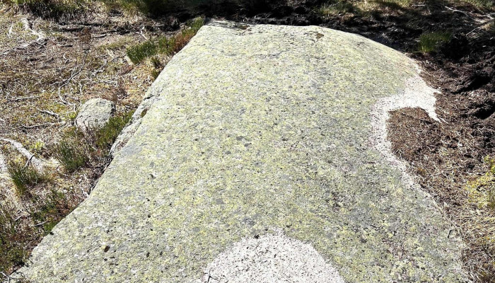 Skimten - Norway