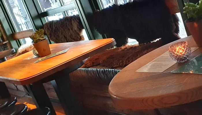 Skipuben -  Pub - Trysil