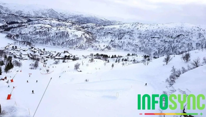 Skiskole -    Sirdal Fjellpark Alle - Tjørhom