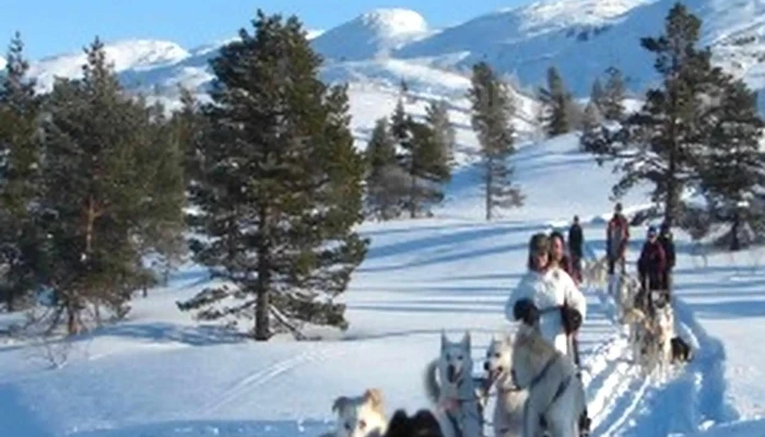 Skiskole -    Sirdal Fjellpark Hvor - Tjørhom