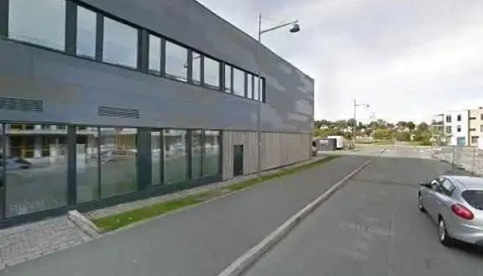 Skog Dev -  Alle - Trondheim