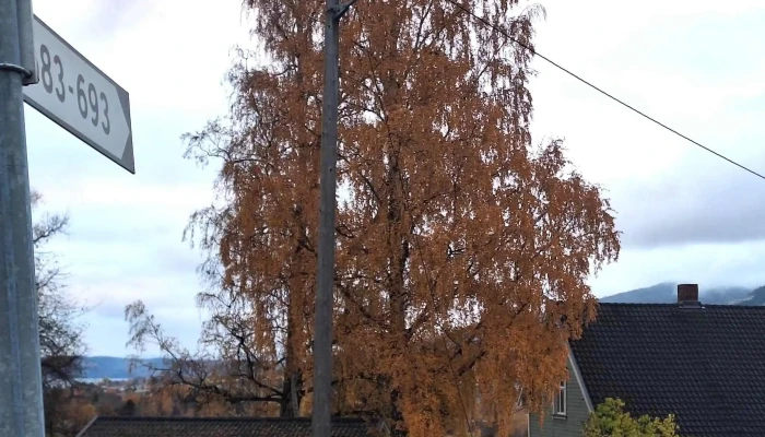 Skreia Stasjon -  Priser - Skreia