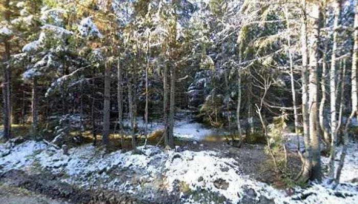 Skyberg Trafo -  Alle - Bybrua