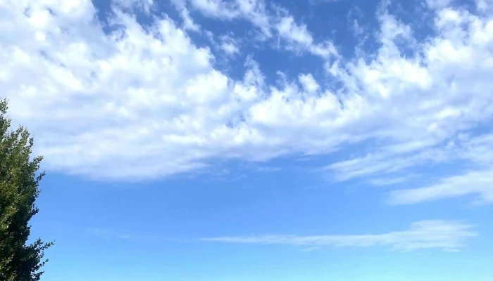 Skylleviga -  Nummer - Flekkerøy