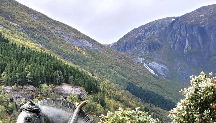 Skysshesten -  Bilder - Odda