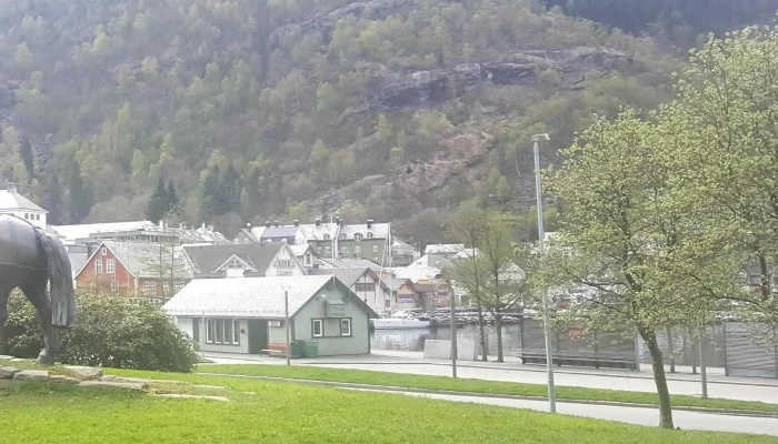 Skysshesten -  Kommentarer - Odda