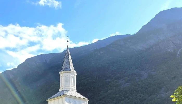 Skysshesten -  Nummer - Odda