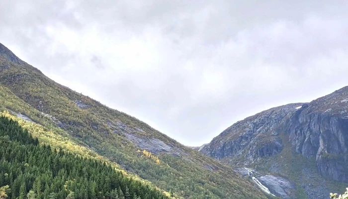 Skysshesten - Odda