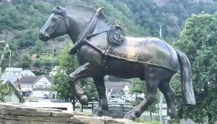 Skysshesten -  Videoer - Odda