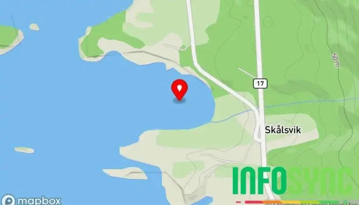 Skålsvikleira - Norge