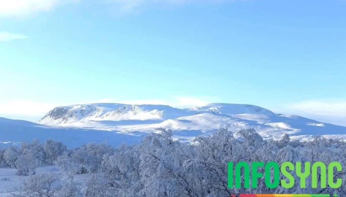Slaatta Skisenter -    Geilo Skiskole Fra Eieren - Geilo