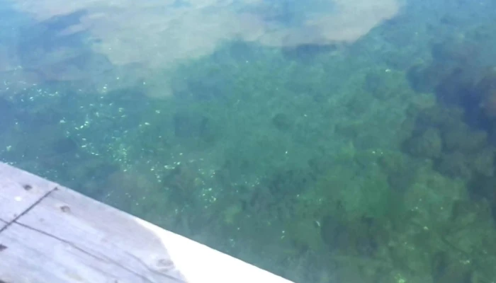 Sognefjord Akvarium -  Hvor - Balestrand