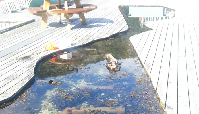 Sognefjord Akvarium -  Hvordan Komme Dit - Balestrand