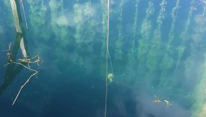 Sognefjord Akvarium -  Kampanje - Balestrand
