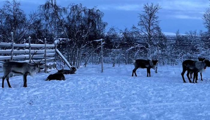 Sokki Adventure -  Videoer - Kautokeino
