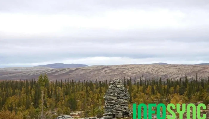 Sollia -  Fjell - Sollia