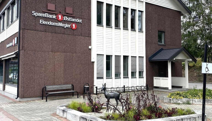 SpareBank 1 Østlandet - Men I Trysil