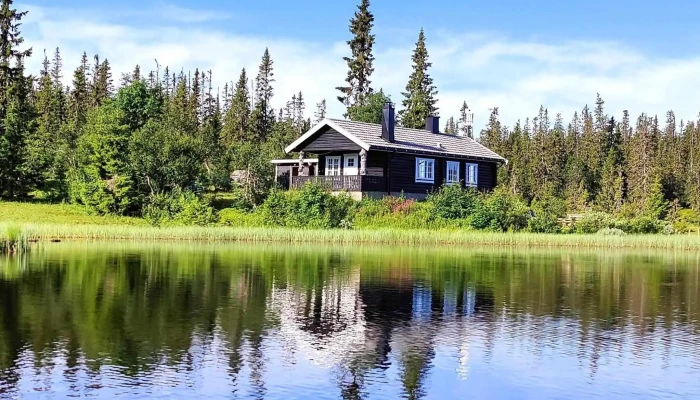Statskog Elgstolen Hytteutleie - Rendalen